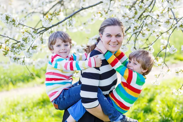 Ung mamma och två små tvillingar pojkar har roligt i blommande ga — Stockfoto