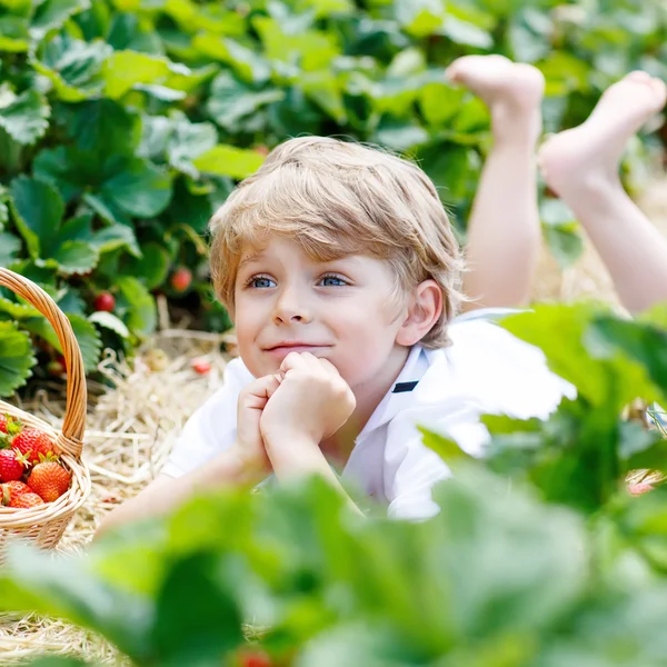 Liten unge pojke plocka jordgubbar på gården, utomhus. — Stockfoto