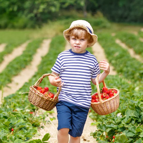 Liten unge pojke plocka jordgubbar på gården, utomhus. — Stockfoto