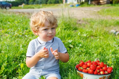 Çiftlikte, açık havada çilek toplama küçük çocuk çocuk.