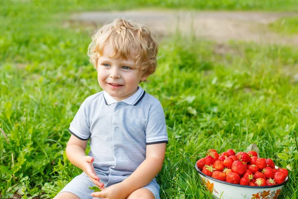 리틀 아이 보 농장, 야외에서 딸기 따기. — 스톡 사진