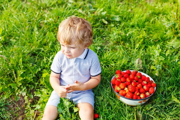 Niño recogiendo fresas en la granja, al aire libre . — Foto de Stock