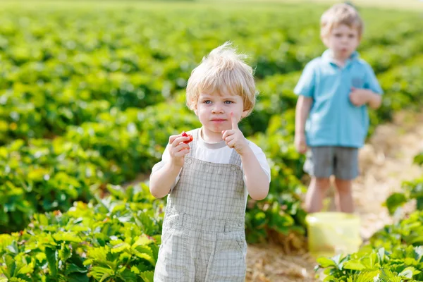 Dva malí kluci sourozence batole na jahodový farmě v létě — Stock fotografie