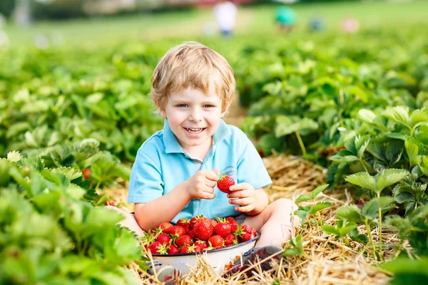 Liten unge pojke plocka jordgubbar på gården, utomhus. — Stockfoto