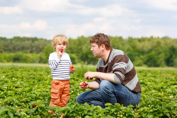 Πατέρα και μικρό παιδί αγόρι στο αγρόκτημα φράουλας το καλοκαίρι — Φωτογραφία Αρχείου