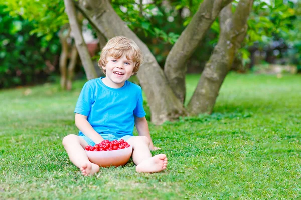 Malý kluk výdeje třešně v zahradě, venku. — Stock fotografie