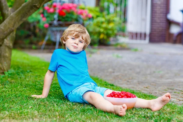 Petit garçon cueillette des cerises dans le jardin, à l'extérieur . — Photo