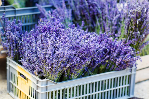 Shop in Provence decorated with lavender and vintage things. — Stock Photo, Image