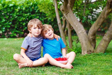 Two little boys picking cherries in garden, outdoors.