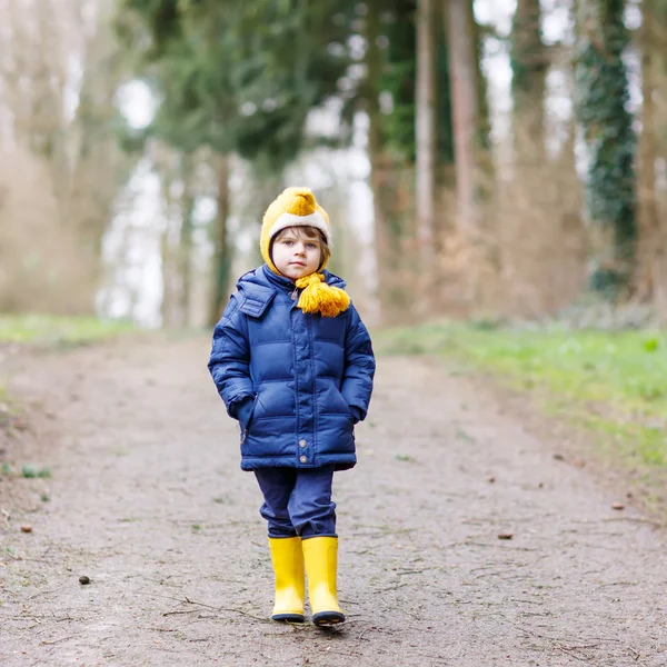 Cute little kid boy walking through autumn forest — ストック写真