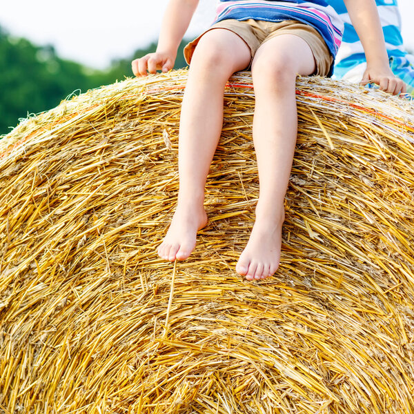 Little kid boy sitting on hay bale in summer