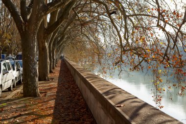 Caddesi yakınlarında Tiber Nehri Roma, İtalya