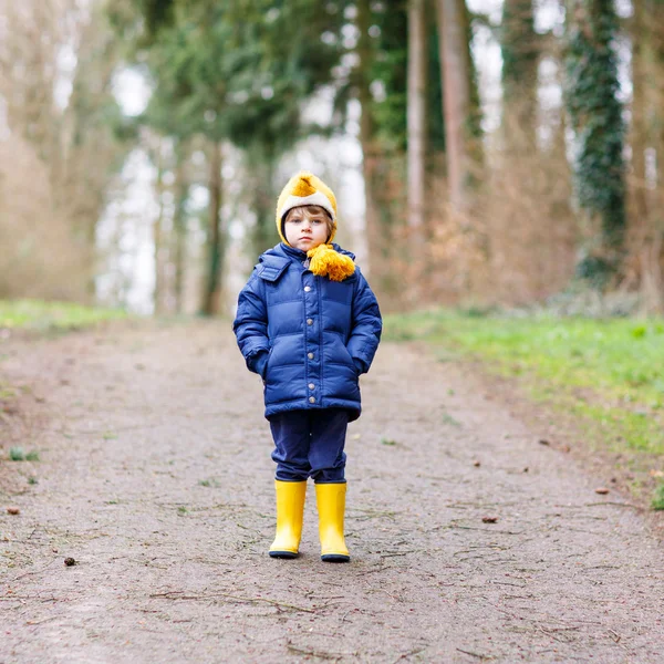 Cute little kid boy walking through autumn forest — Stock Photo, Image