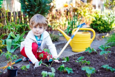 Happy kid boy planting seeds of tomatoes clipart