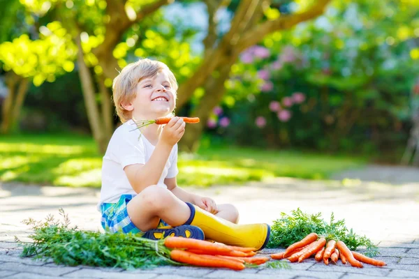 Criança adorável com cenouras no jardim doméstico — Fotografia de Stock