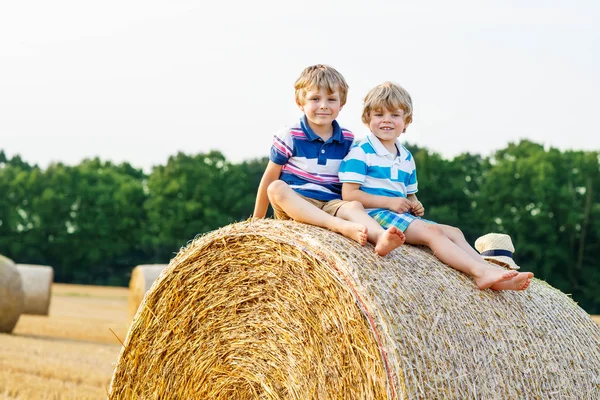 Двое маленьких детей и друзья с стогой сена или тюком — стоковое фото