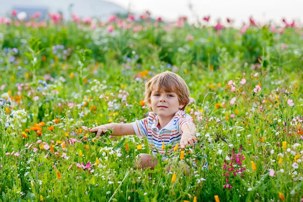 Cute happy little blond child in blooming flower field — Stock Photo, Image