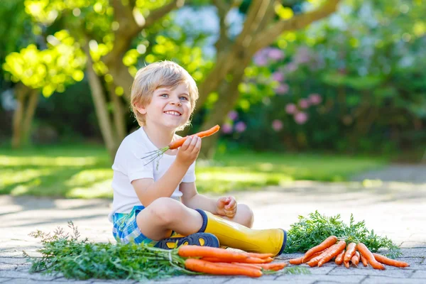 Criança adorável com cenouras no jardim doméstico — Fotografia de Stock