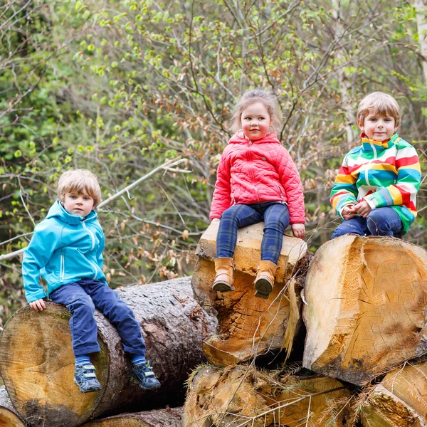 Menina e dois meninos brincando juntos na floresta — Fotografia de Stock