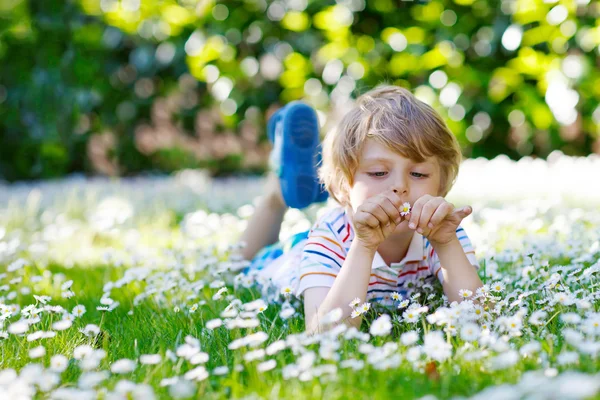 Cute kid boy laying on green grass in summer — Stok fotoğraf