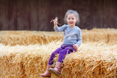 mutlu kız bir çiftlikte saman ile eğleniyor