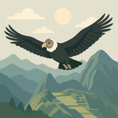 Yeşil dağlar ve sıcak bir gökyüzü ile çevrili antik İnka şehri Machu Picchu 'nun üzerinde kanatları tamamen genişleyen bir And Akbabasının vektör çizimi. Eğitimsel, kültürel veya seyahatle ilgili içerik için mükemmel.