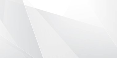 Gri beyaz soyut arkaplan geometri parlaklığı ve sunum tasarımı için katman element vektörü. İş dünyası, şirket, kurum, parti, şenlik, seminer ve görüşmeler için uygun