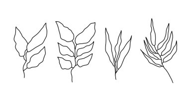 El çizimi kıvırcık çimenleri ve çiçekleri beyaz izole arka plana koyun. Botanik illüstrasyon. Dekoratif çiçek resmi. Çiçekli el çizimleri yap. Çiçek, bitki, yaprak çizimleri. El çizimi