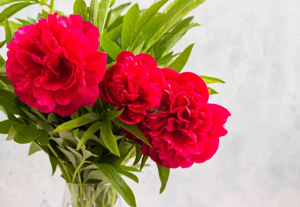 Wazon Piwonii Piękne Kwiaty Magenta Stole Przed Jasnoszary Betonowej Ścianie — Zdjęcie stockowe