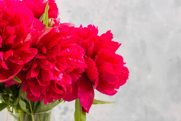 Vas Dengan Indah Magenta Peonies Bunga Atas Meja Dinding Beton — Stok Foto