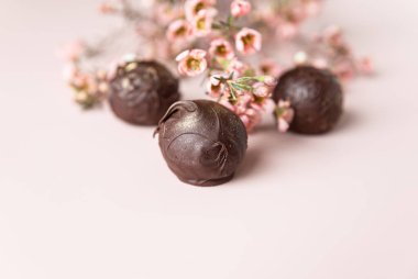 Pembe arka planda çikolatalı mantarlar, pembe çiçeklerle süslenmiş. Tasarım için yer. Minimalizm. Seçici odak.