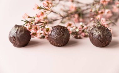 Pembe arka planda çikolatalı mantarlar, pembe çiçeklerle süslenmiş. Tasarım için yer. Minimalizm. Seçici odak.