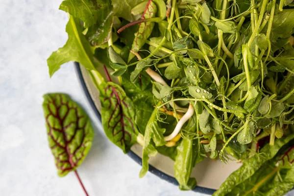 Salada Misturada Verde Fresca Com Microgreens Com Gotas Água Uma — Fotografia de Stock