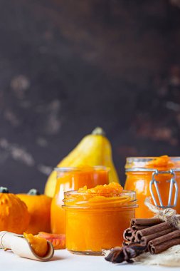 Cam kavanozda konserve organik balkabağı püresi taze balkabağı, tarçın ve hafif taş zemin üzerinde anason. Şükran Günü, sonbahar ya da kış tarifleri..