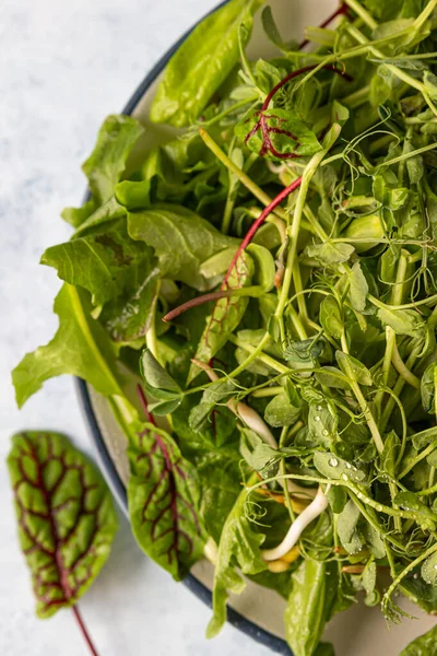 Fresh Green Mixed Salad Microgreens Water Drops Plate Blue Concrete — Stock Photo, Image