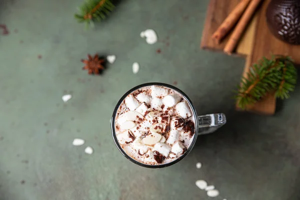 Warme Chocolademelk Met Marshmallow Cacao Chocoladebom Wintercompositie Met Sparren Takken — Stockfoto
