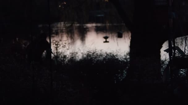 Тіньова фігура навколо озера 2 — стокове відео