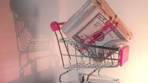 Shopping cart with wad of US cash — Stock Video