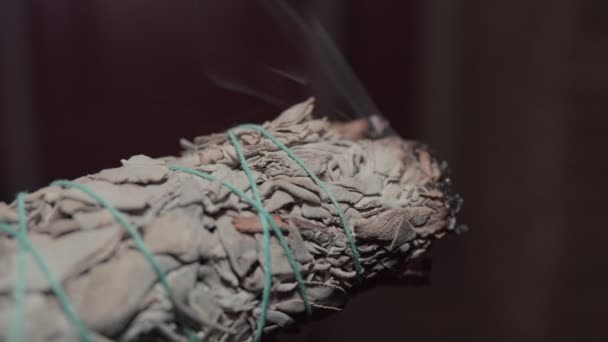 Burning sage up close — Stock Video