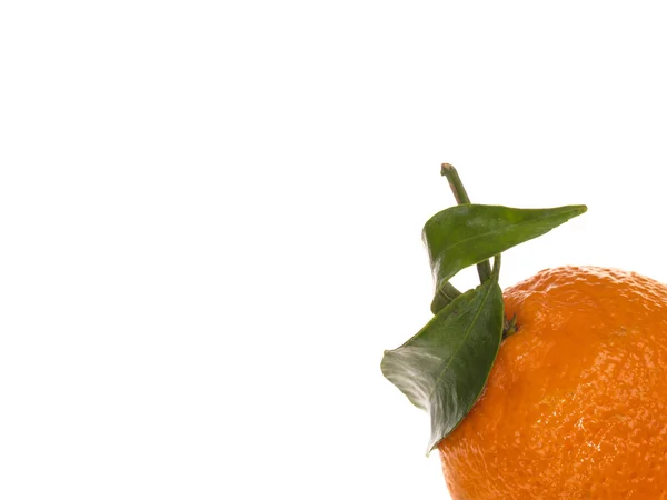 単一の新鮮な熟したクレメンタイン オレンジ色の果物の健康的な食事と生活 — ストック写真
