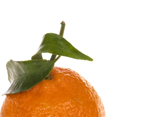 単一の新鮮な熟したクレメンタイン オレンジ色の果物の健康的な食事と生活 — ストック写真