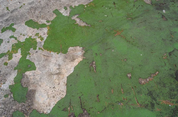 Epsom Surrey London May 2021 Abstract Weathered Decaying Pavement Sidewalk — Stock Photo, Image