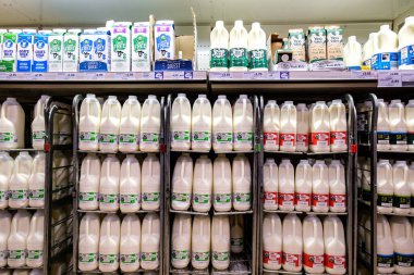 London UK, November 16 2025, Display Of Selection Of Fresh Healthy Milk Cartons