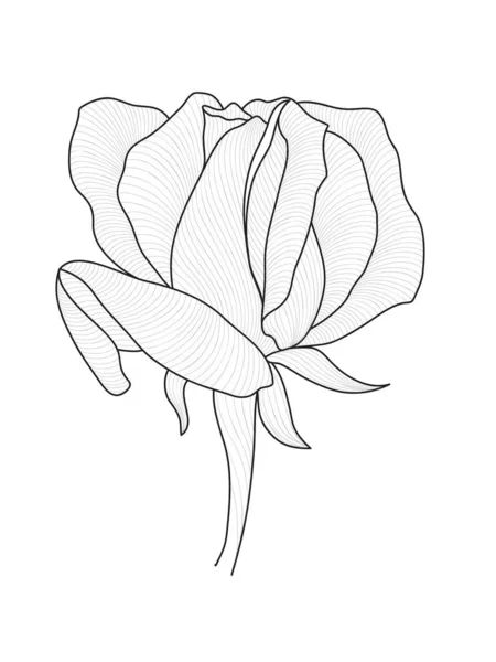 Lignes Blanches Rose Dessinées Main Éléments Floraux Pour Invitations Cartes — Image vectorielle