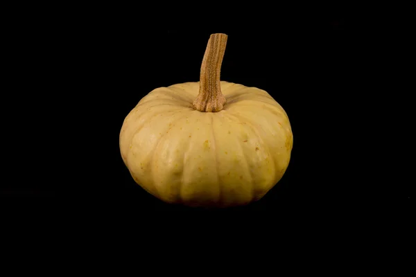 Calabaza ornamental — Foto de Stock