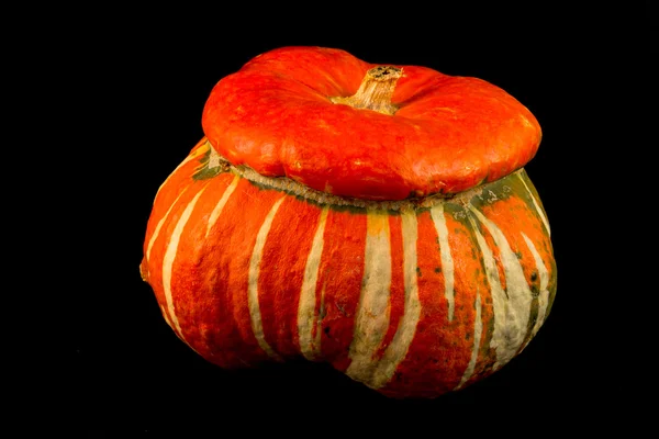 Ornamental gourd — Stock Photo, Image