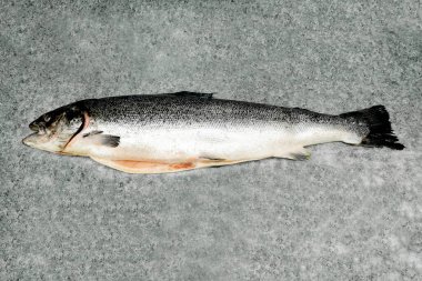 Siyah taştan bir masanın üstünde somon balığı, deniz kabuğu yemek pişirmeye hazırlanıyor, boşluğu kopyala.