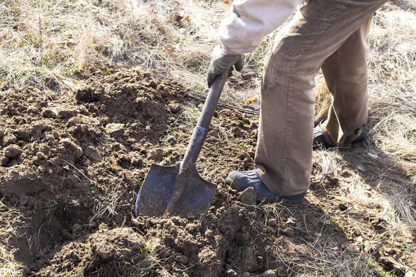 Munkás Férfi Farmer Férfi Lábak Ásni Talaj Őrölt Lapát Gumicsizmában — Stock Fotó