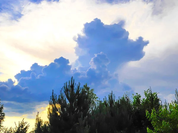 Облака Небе Форме Медведя Солнечными Лучами Время Летнего Заката Лесу — стоковое фото