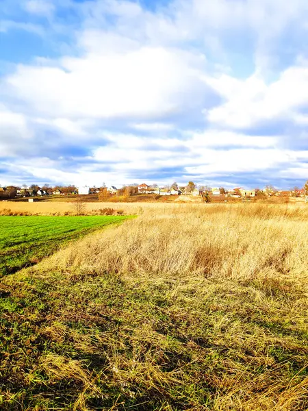 Gencin Panoramik Görüntüsü Mavi Gökyüzüne Karşı Yeşil Alanda Filizleniyor Toprağı — Stok fotoğraf